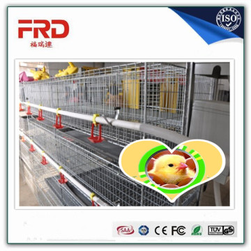 Trade assurance 100% payment guarantee factory quail layer cages with long working time