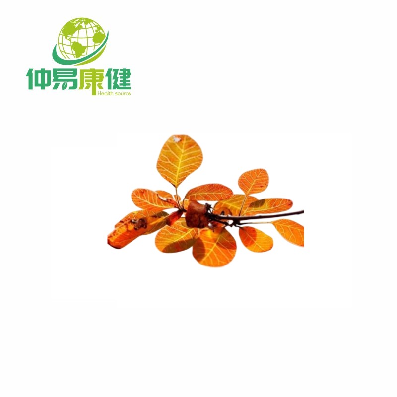 Cotinus Coggygria Leaf Extract