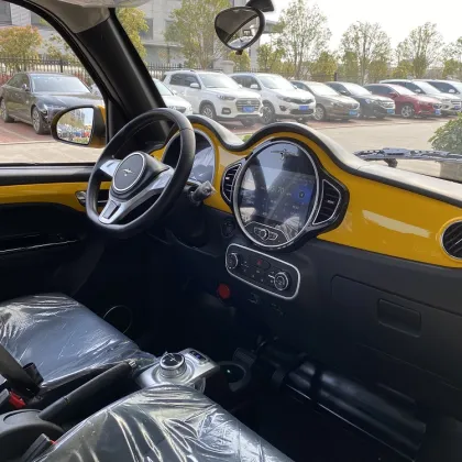 Today Sunshine M2 NEW MODEL EEC Electric Car for Family Use