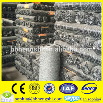 hexagonal iron wire mesh fence