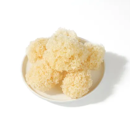 Organic Dried Tremella Mushroom - Golden Tremella Fungus Grown on Linden Wood