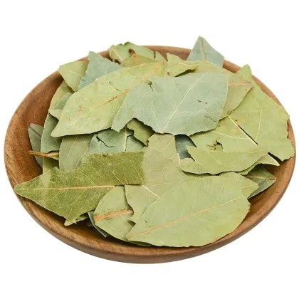 Wholesale Dry Bay Leaf and Dried Laurel Leaves Seasoning Supplier