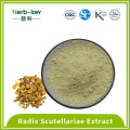 Blatthypertensive Radix -Scutellariae -Extrakt 85% Baicalin