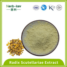 Blatthypertensive Radix -Scutellariae -Extrakt 85% Baicalin