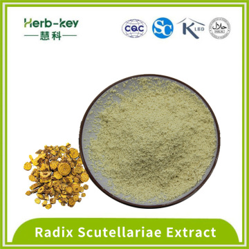 Extrato anti -hipertensivo de radix scutellariae 85% baicalin