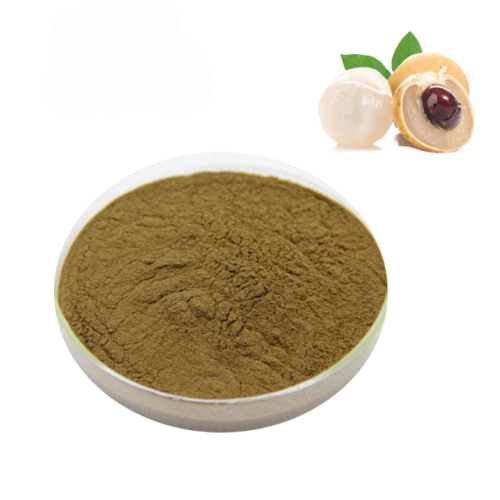 Saw Palmetto Extract Supplement Pure dimocarpus longan extract Dried Longan Pulp Extract Supplier