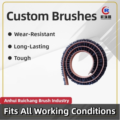 Endüstriyel Temizlik için Naylon Filament Kemer Fırçası