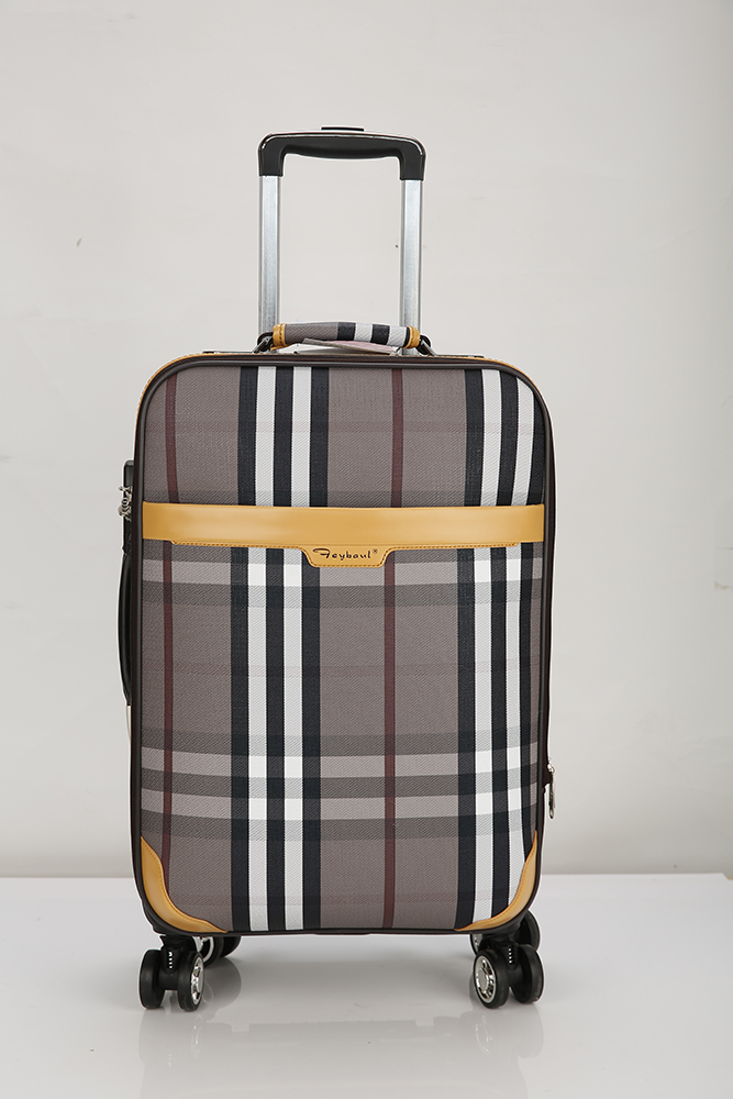 Lattice Luggage Case