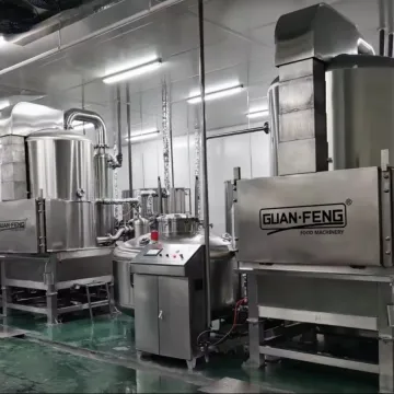 Electric Frying Machines: Meat, Seafood, Vegetable, Fruit Vacuum Cooking Solutions