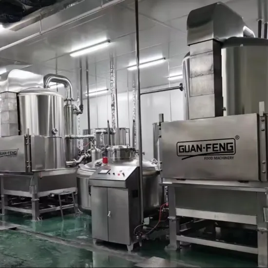 Electric Frying Machines: Meat, Seafood, Vegetable, Fruit Vacuum Cooking Solutions