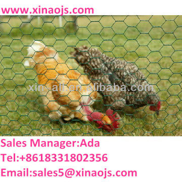 PVC Coated /Galvanized hexagonal netting