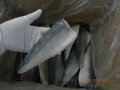 Esportazione del filetto di pesce mackerel congelato naturale per l&#39;ingrosso