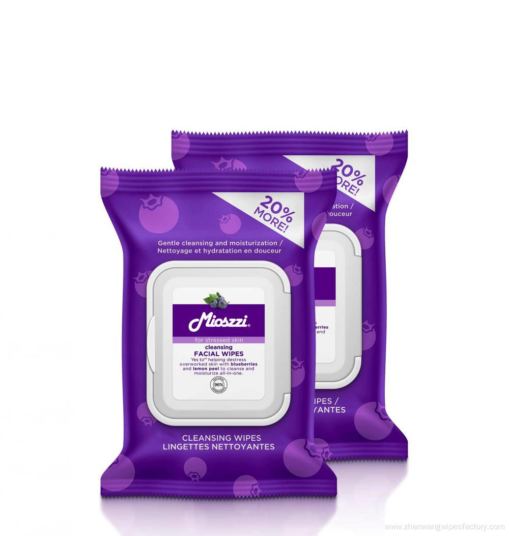 Best Private Care Makeup Remover Cleansing Wipes