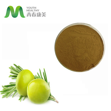 Olea Europaea Leaf Extract/Olive Leaves Extract Powder