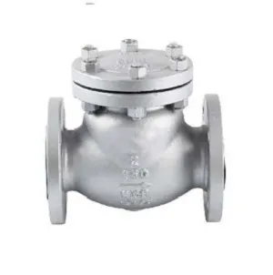 Cast Steel Flanged Swing Check Valve
