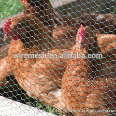 Stainless Steel chicken wire