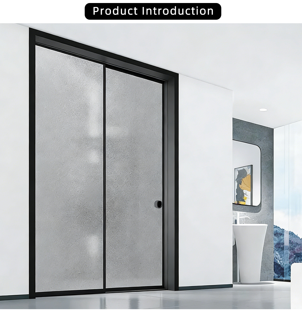 Modern Double Panel Decorative Glass Sliding Door YJ-P022 X