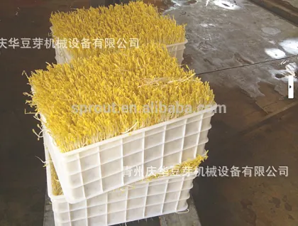 Bean Sprouts Machine mung bean soya bean