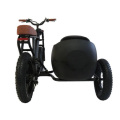 Gashebel Grizzly Downhill Electric Tricycle