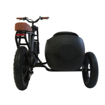 Gashebel Grizzly Downhill Electric Tricycle