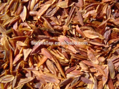 2014 high quality lilac tree seeds for growing