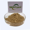 High-Purity Chymosin Enzyme Powder for Dairy Applications