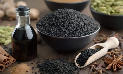 Black seed oil press for processing companies
