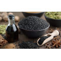 Black Seed Oil Press para empresas de procesamiento