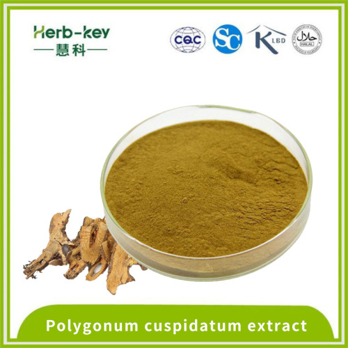 Polygonum cuspidatum extract contains 50% emodin