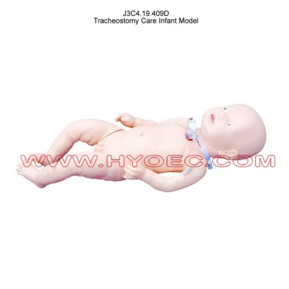 Tracheostomy Care Infant Model-J3C4.19.409D