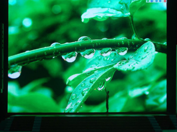 Hohe Graustufen P1.25 HD LED-Anzeige