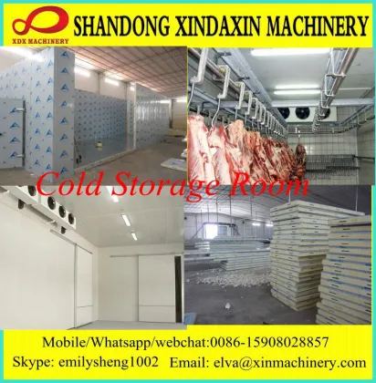 Cold Room Wall Panel for vegetable/fruit/fish; Cold Storage Room with Bitzer Compressor