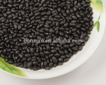 h.p.s small black kidney bean
