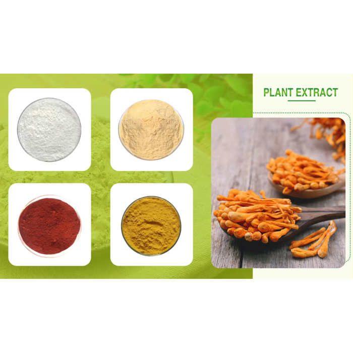 High Purity NR Powder for Anti Aging Supplements