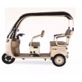 Household commuting Electric leisure tricycle with canopy