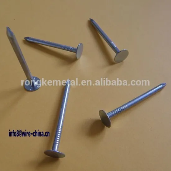 Galvanized concrete nails fluted Shank/steel nail FACTORY