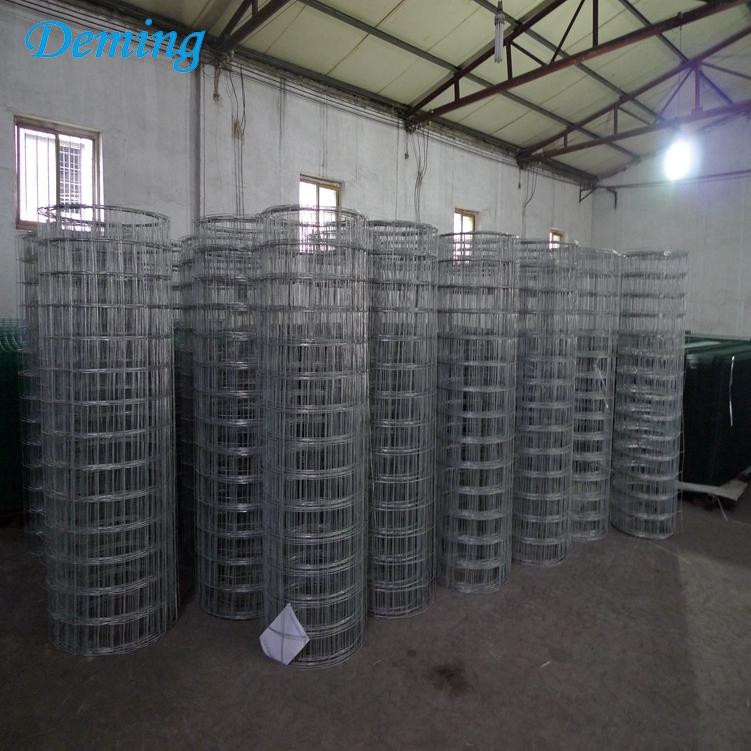 Hot Dip Galvanized Welded Wire Mesh Fence Rolls