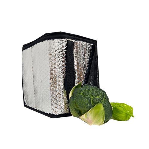 Insulated thermal aluminum foil Food Delivery Cooler Bag