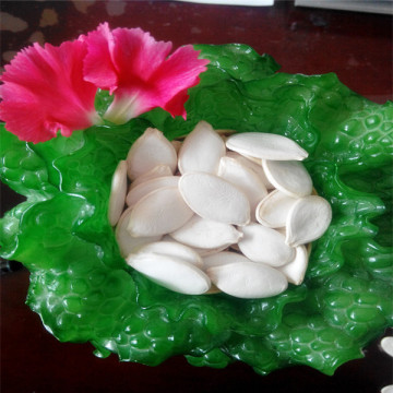 2015 Crop foam pumpkin	for sell
