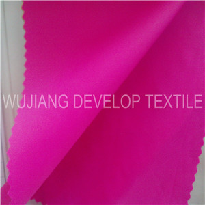 350t Nylon Taffeta Fabric for Garment Fabric (DN1004)