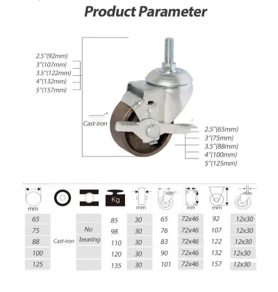 Cast-Iron Side Brake Caster Wheel for Machinery Equipment