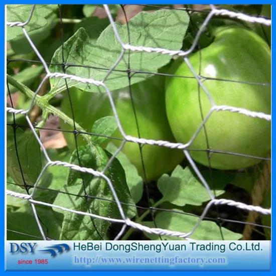(31 year factory)Cheap poultry fence mesh Hexagonal Wire Mesh for poultry fence