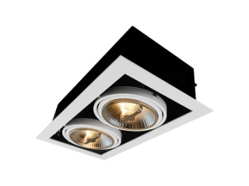 LED RECESSED Adjustable Downlight  AR111 2 LAMPS DIMMABLE CEILING LIGHT