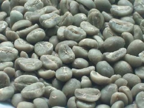 Arabica Raw Coffee Beans