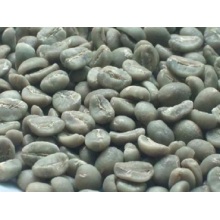 Ыстық сатылымдар Arabica кофе дәндері