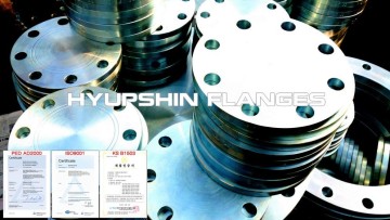 5K JIS Blind FF RF Q235 Flange