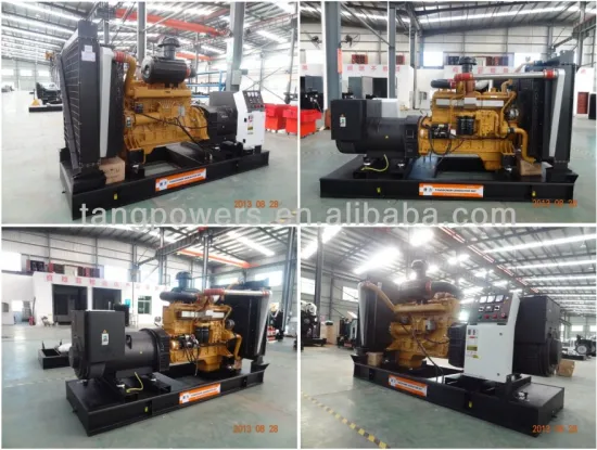313KVA china shangchai engine diesel generator set