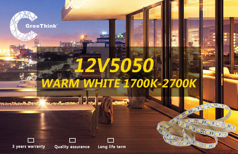 warm white lights