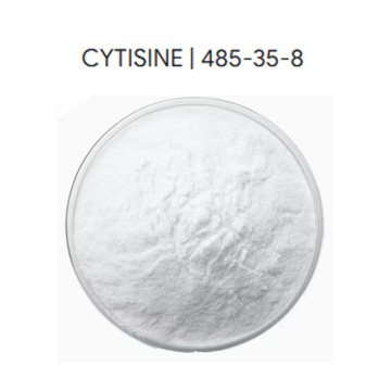 Cytisine Powder Natural Plant Extract CAS 485-35-8