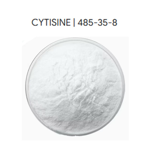 Cytisine Powder Natural Plant Extract CAS 485-35-8